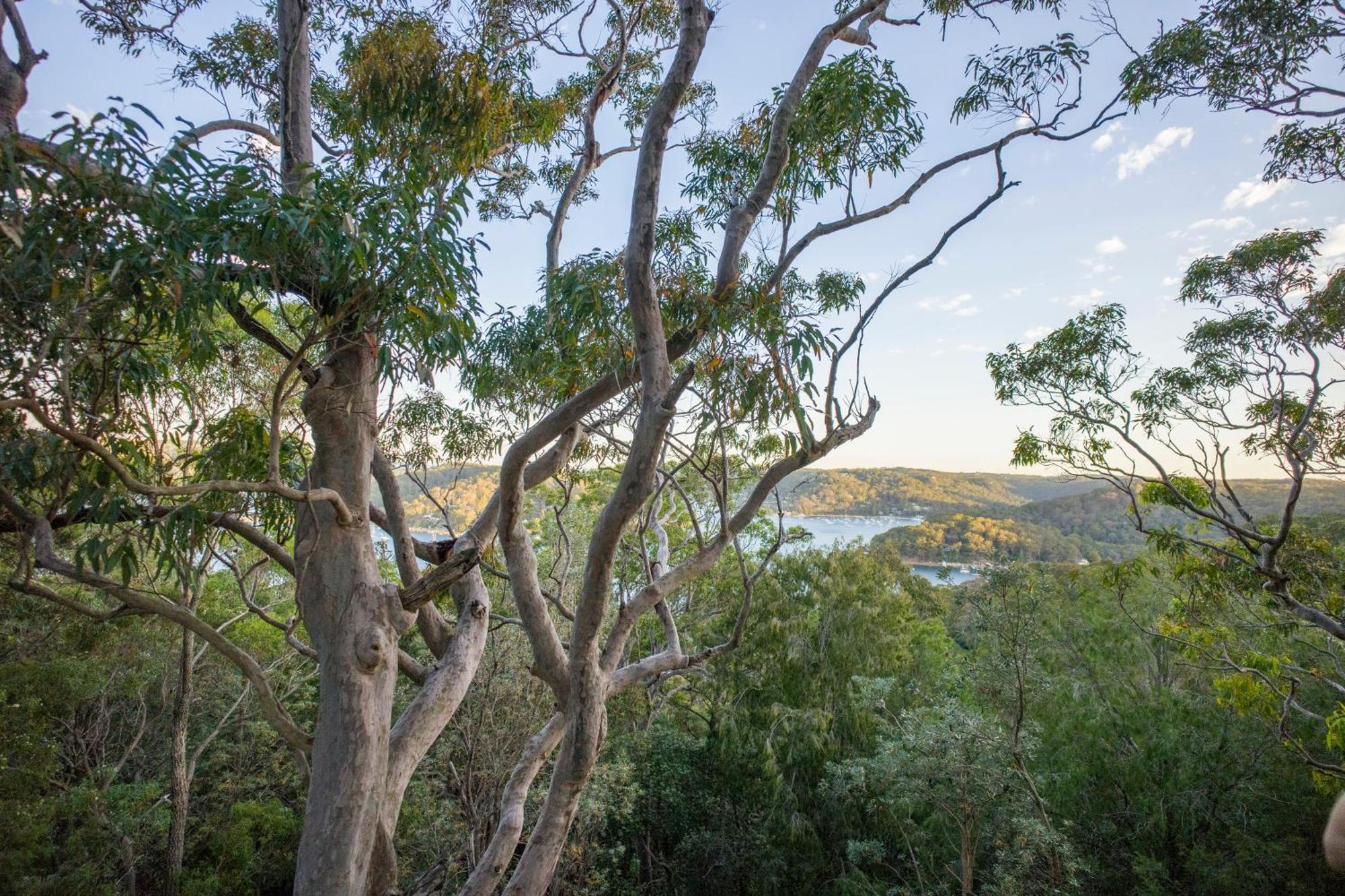 Yha Pittwater Eco, Sydney Vandrerhjem Church Point Eksteriør bilde